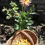 Casa de hóspedes Fernsicht Ausserteuchen