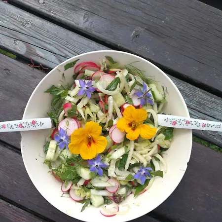 Fernsicht Гостевой дом