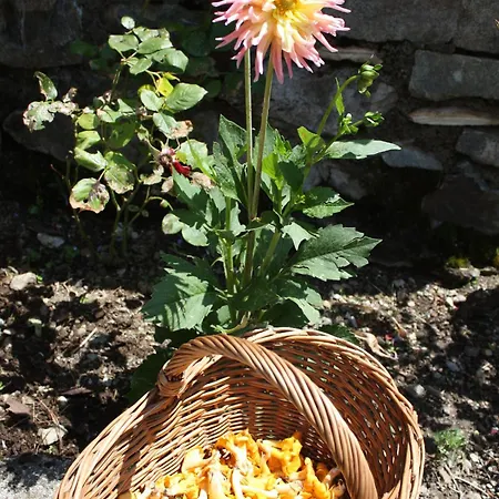 Гостевой дом Fernsicht Ausserteuchen