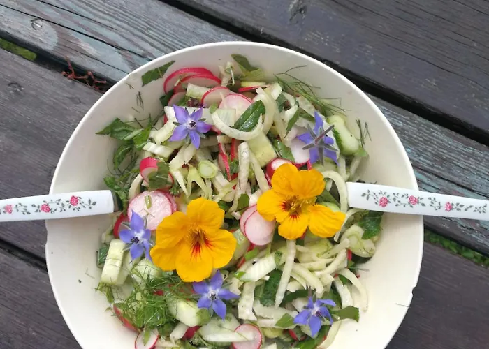 Fernsicht Гостевой дом