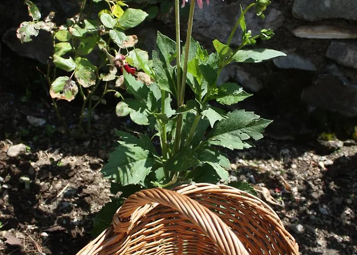 Гостевой дом Fernsicht Ausserteuchen